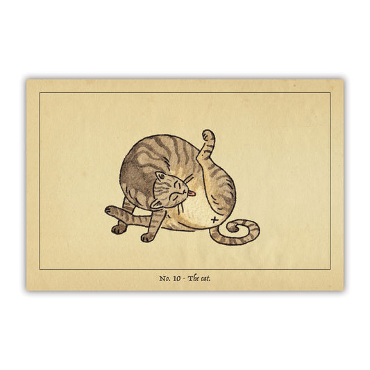 The Cat Postcard