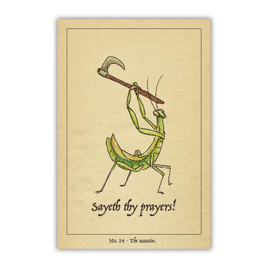 The Assassin Postcard