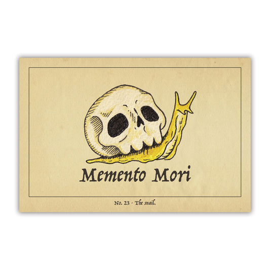 The Snail Postcard
