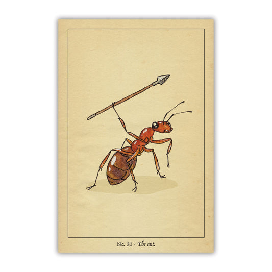 The Ant Postcard