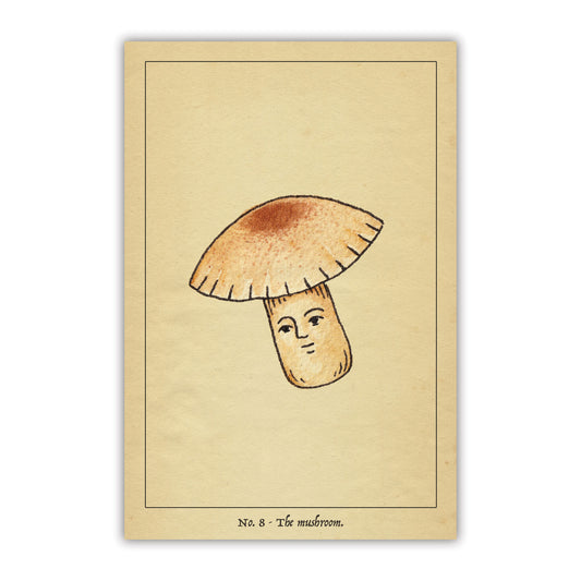 The Mushroom Postcard