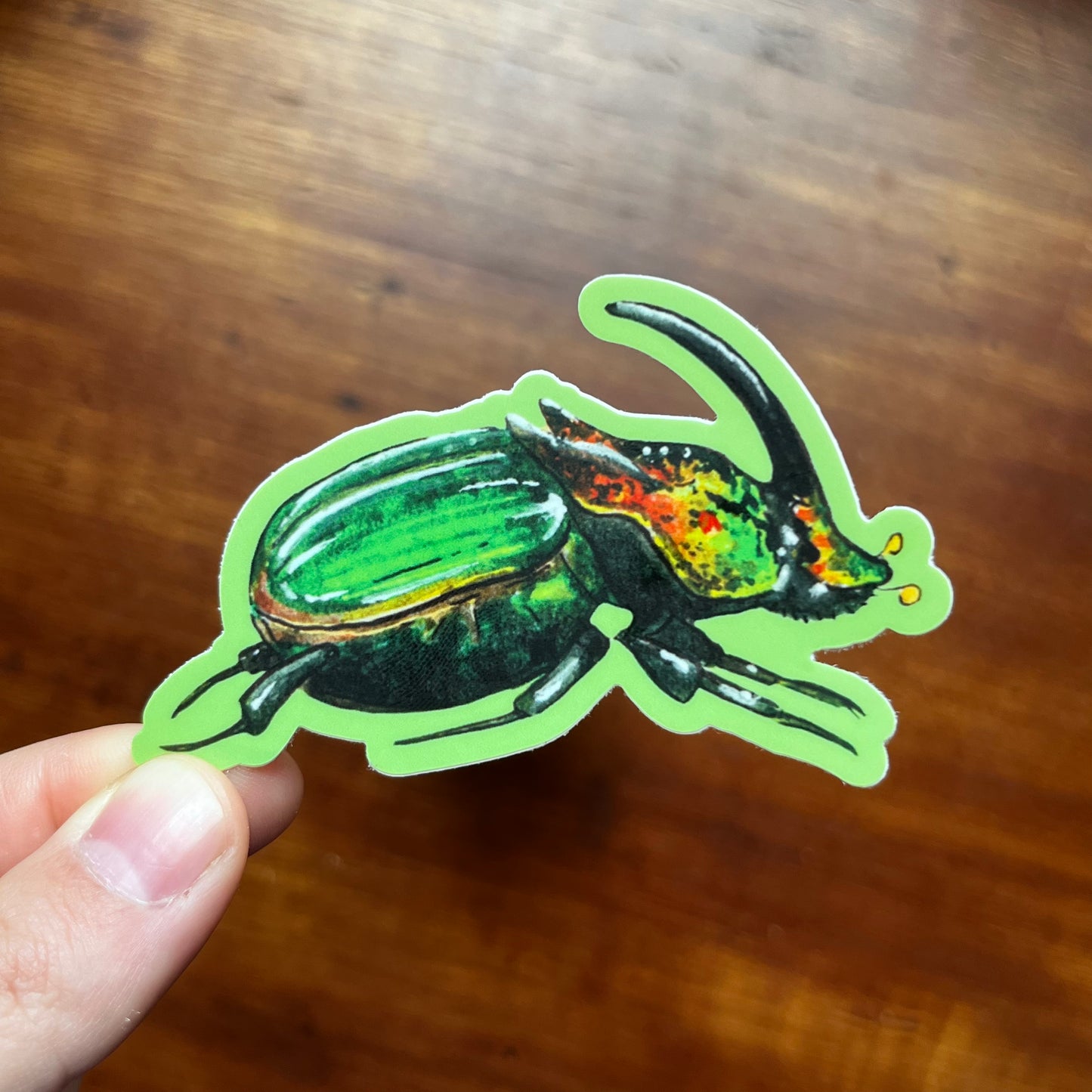 Dung Beetle Sticker