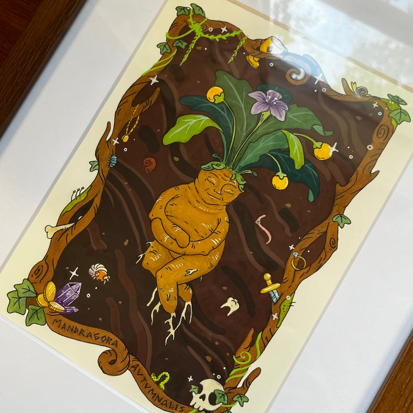Mandragora Autumnalis - Original Painting