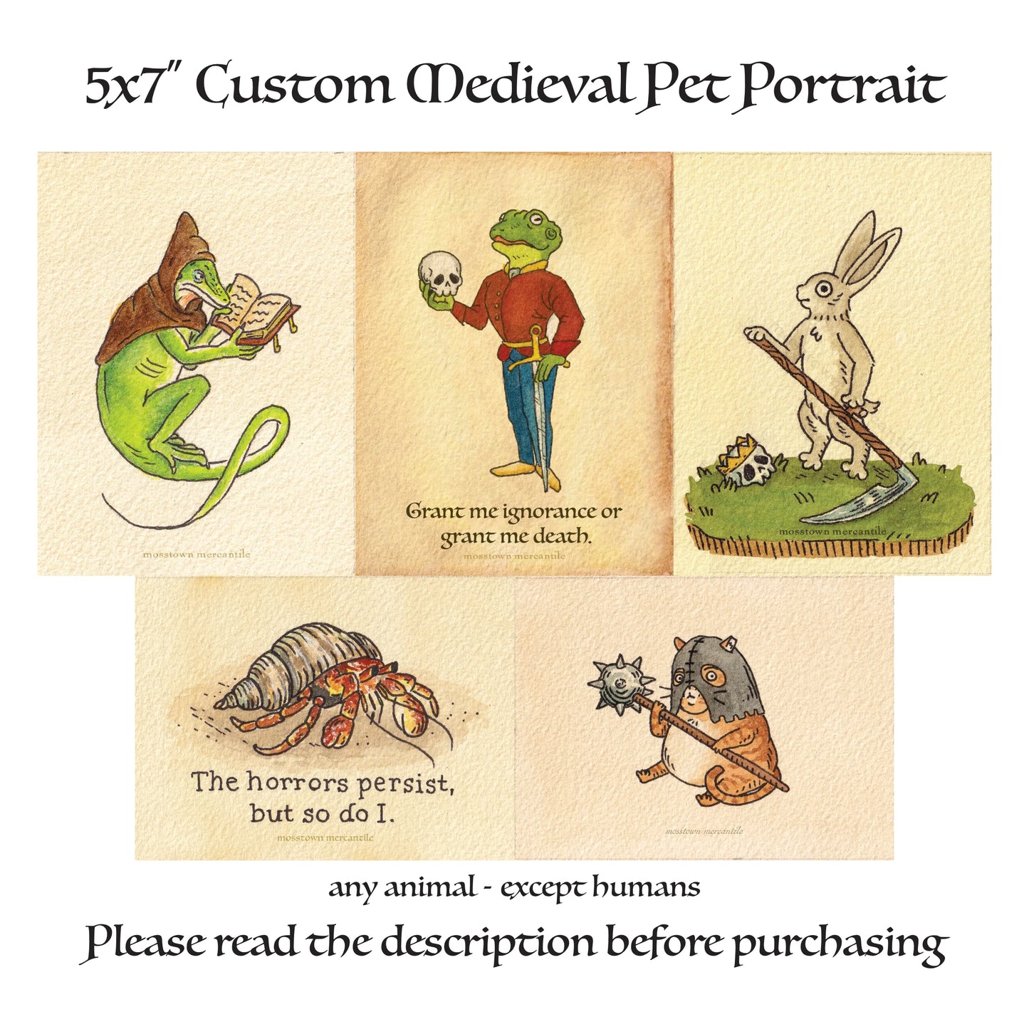Custom Medieval Pet Portrait