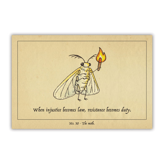 The Moth Postcard