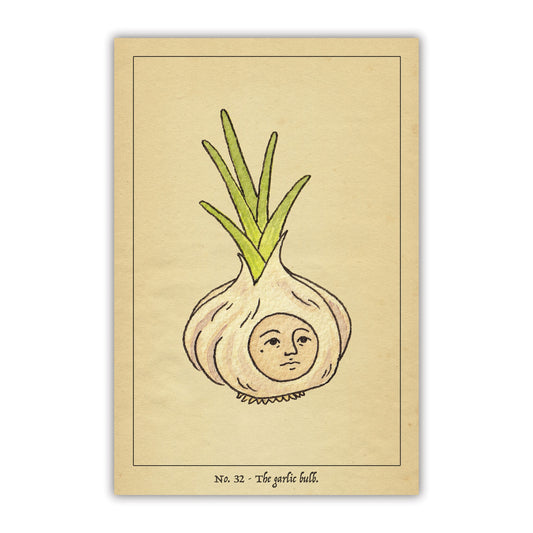 The Garlic Postcard