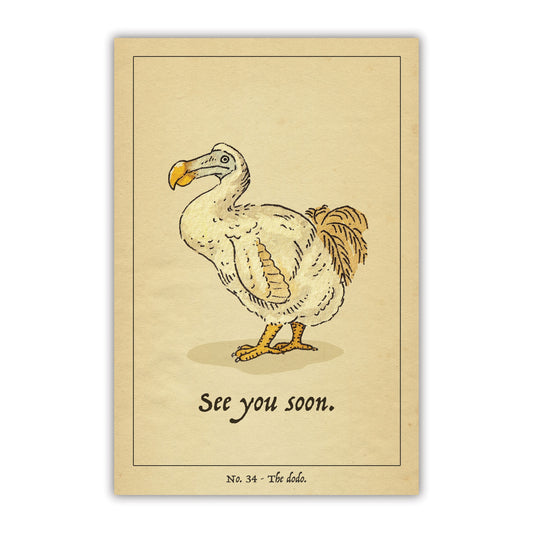 The Dodo Postcard