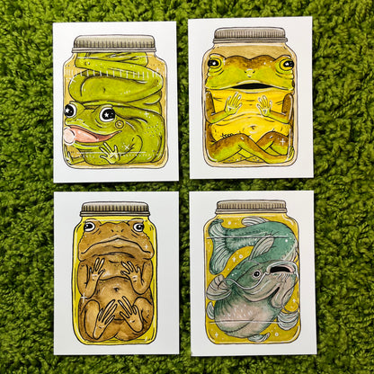 Swamp Greetings - Set of 4 Cards