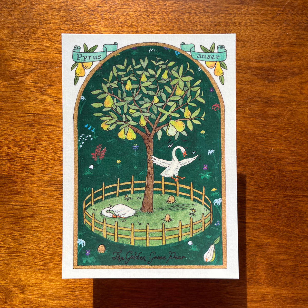 The Golden Goose Pear Postcard Print