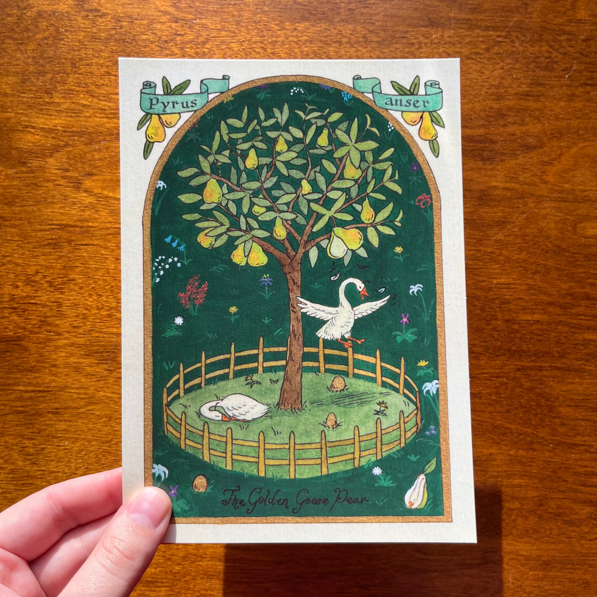 The Golden Goose Pear Postcard Print