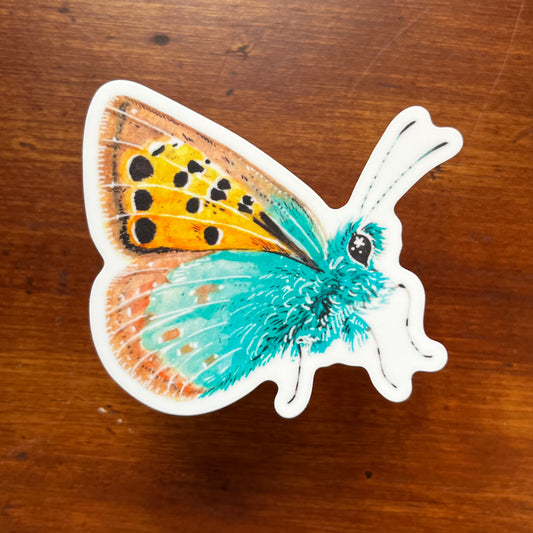 Hairstreak Butterfly Sticker