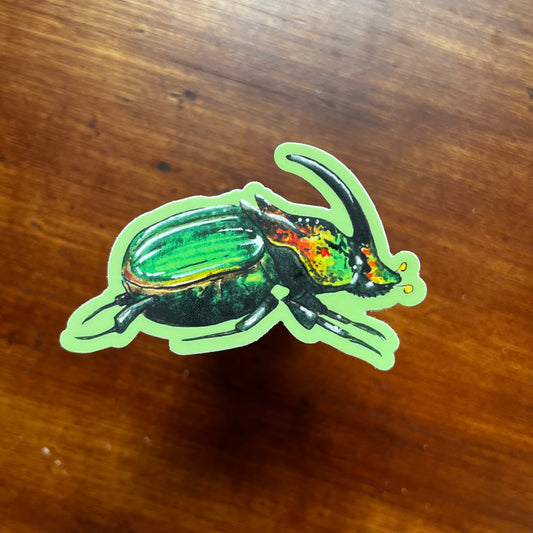 Dung Beetle Sticker