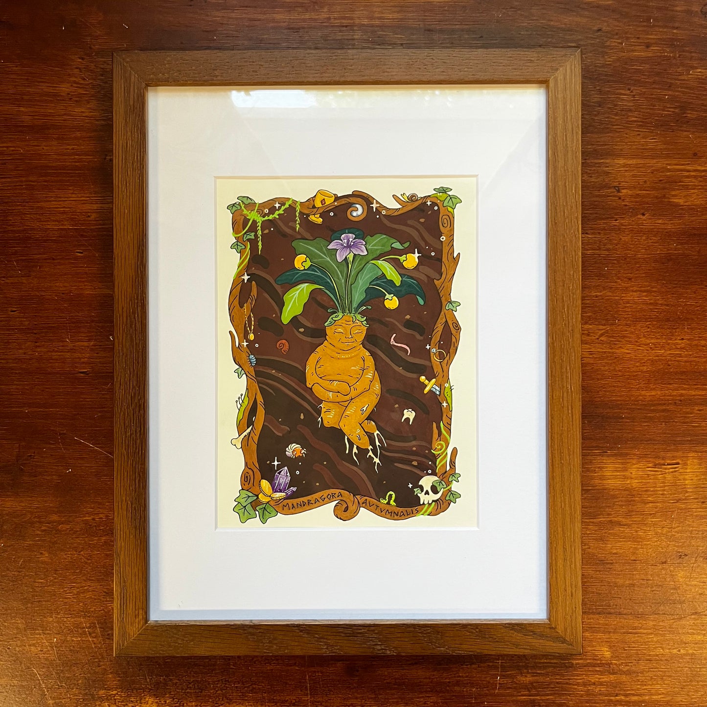 Mandragora Autumnalis - Original Painting