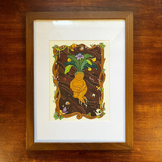 Mandragora Autumnalis - Original Painting