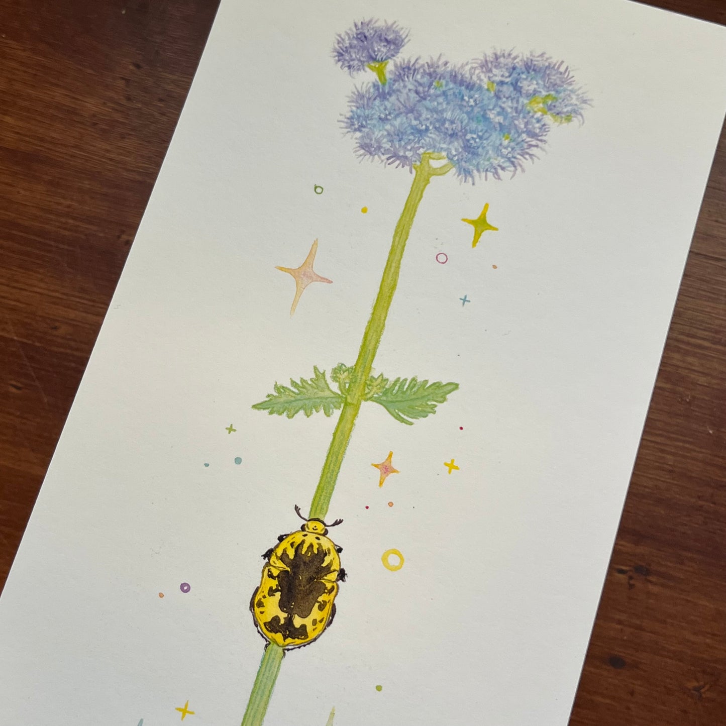Mistflower Art Print