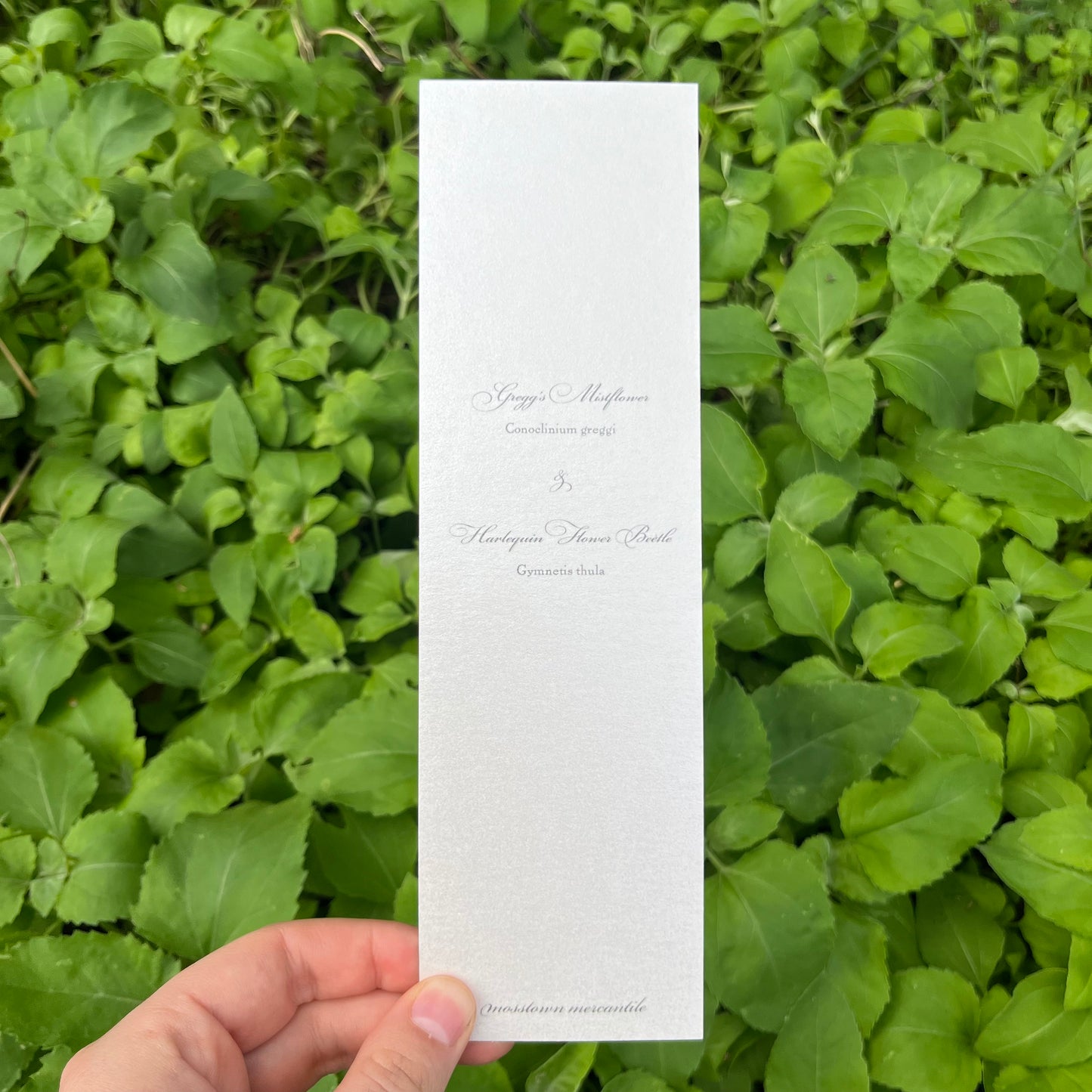 Mistflower Bookmark